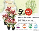 Promo Arbuste à Feuillage Persistant à 5,50 € dans le catalogue E.Leclerc à Marennes