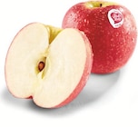 Netto Marken-Discount - Pink Lady Äpfel Angebot im Prospekt Pink Lady Äpfel bei Netto Marken-Discount im Prospekt "" für 1,99 €