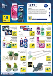 diska Katzenfutter im Prospekt 