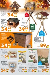 Wild Angebote im Prospekt "Immer eine Idee besser" von Globus-Baumarkt auf Seite 7