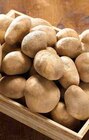 Intermarché - POMME DE TERRE DE CONSOMMATION A CHAIR FERME NON LAVÉE BIO MON MARCHE PLAISIR : offre du catalogue Promo POMME DE TERRE DE CONSOMMATION A CHAIR FERME NON LAVÉE BIO MON MARCHE PLAISIR à 1,89 € dans le catalogue Intermarché ""