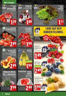 Aktueller EDEKA Prospekt "Aktuelle Angebote" für Dortmund Aktueller EDEKA Prospekt für Dortmund mit Seiten