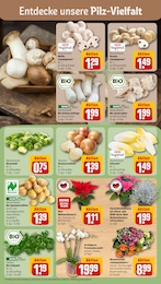 Blumen Angebot & Preis im aktuellen REWE Prospekt Blumen Angebot im aktuellen REWE Prospekt auf Seite 7