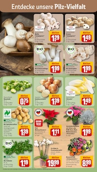Pflanzen im aktuellen REWE Prospekt (Bremen) Pflanzen im REWE Prospekt "Dein Markt" mit 28 Seiten (Bremen)