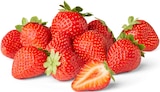 Erdbeeren von  im aktuellen Penny Prospekt für 