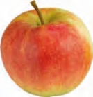 Tafeläpfel bei EDEKA im Appen Prospekt für 2,49 €