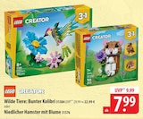LEGO Wilde Tiere: Bunter Kolibri Angebote bei famila Nordost Neustadt für 7,99 €