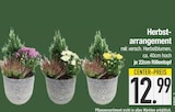 Herbst-arrangement von  im aktuellen EDEKA Prospekt für 12,99 €