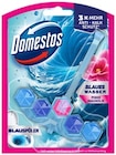 Power 5 Blauspüler oder WC Stein Power 5 im REWE Prospekt Power 5 Blauspüler oder WC Stein Power 5 von Domestos im aktuellen REWE Prospekt für 1,29 €