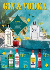 Aktueller Selgros Prospekt mit Gin, "cash & carry", Seite 6