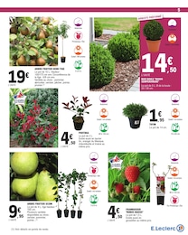 Offre Arbre dans le catalogue E.Leclerc du moment à la page 5