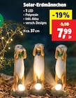 Solar-Erdmännchen Angebote bei Thomas Philipps Stralsund für 7,99 €