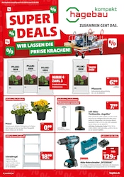 Aktueller hagebau kompakt Prospekt mit Gartenerde, "SUPER DEALS", Seite 1