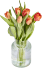 Herbsttulpen bei EDEKA im Loßburg Prospekt für 3,49 €