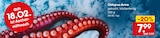 Oktopus-Arme im aktuellen Netto Marken-Discount Prospekt
