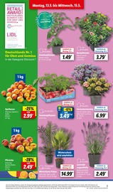 Pflanzen Angebote im Prospekt "LIDL LOHNT SICH" von Lidl auf Seite 3
