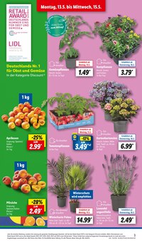 grüne Paprika Angebot im aktuellen Lidl Prospekt auf Seite 3