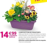 Promo Composition de printemps à 14,99 € dans le catalogue Delbard à Marseille