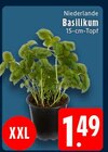 Aktuelles Basilikum Angebot bei E center in Wuppertal ab 1,49 €