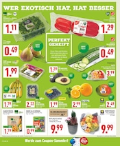 Salat im Marktkauf Prospekt in Herne Aktueller Marktkauf Prospekt mit Salat, "Aktuelle Angebote", Seite 6