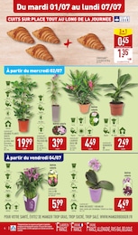 Prix et réduction Orchidée dans le prospectus Aldi en cours Offre Orchidée dans le catalogue Aldi du moment à la page 4
