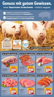 Schweinefleisch im REWE Prospekt "Dein Markt" mit 30 Seiten (Erlangen)