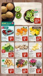 Limetten Angebot & Preis im aktuellen nahkauf Prospekt Limetten Angebot im aktuellen nahkauf Prospekt auf Seite 4