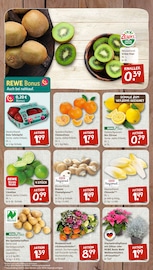 Aktueller nahkauf Prospekt mit Kiwi, "nichts liegt näher", Seite 4