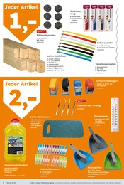 Pflanzen im Globus-Baumarkt Prospekt in Halle Aktueller Globus-Baumarkt Prospekt mit Pflanzen, "Immer eine Idee besser", Seite 2