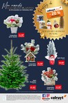 Sapin Nordmann Sapin Nordmann