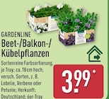 Beet-/Balkon-/Kübelpflanzen von Gardenline im aktuellen ALDI Nord Prospekt