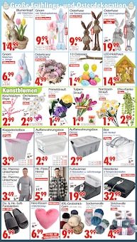 Blumentopf im Wreesmann Prospekt "DEIN SAISON- & SONDERPOSTENMARKT!" mit 8 Seiten (Dresden)