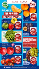 Aktueller ALDI SÜD Prospekt mit Salat, "Gutes für Alle.", Seite 4