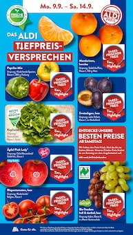 Kopfsalat Angebot im aktuellen ALDI SÜD Prospekt auf Seite 4