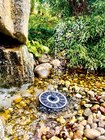 Solar-Wasserspiel im Angebot bei Hornbach in Dorsten Solar-Wasserspiel Angebote von HEISSNER bei Hornbach Dorsten für 19,89 €