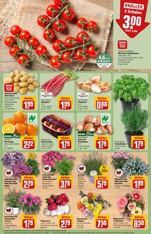 Tomaten im REWE Prospekt "Dein Markt" mit 30 Seiten (Mönchengladbach)