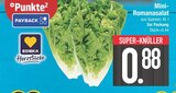 Mini-Romanasalat im EDEKA Prospekt Mini-Romanasalat von EDEKA Herzstücke im aktuellen EDEKA Prospekt für 0,88 €