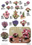 Fleurs Fleurs