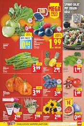 Spargel Angebote im Prospekt "Aktuelle Angebote" von E center Spargel Angebote im Prospekt "Aktuelle Angebote" von E center auf Seite 3