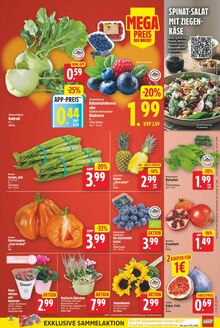 Tomaten im E center Prospekt "Aktuelle Angebote" mit 34 Seiten (Berlin)