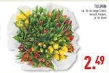 TULPEN Angebote bei Marktkauf Hemer für 2,49 €