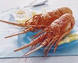 LANGOUSTE ENTIÈRE CUITE RÉFRIGÉRÉE - SANS MARQUE - Auchan Hypermarché à Charenton-le-Pont LANGOUSTE ENTIÈRE CUITE RÉFRIGÉRÉE - SANS MARQUE en promo chez Auchan Hypermarché Charenton-le-Pont à 35,99 €