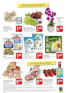 Pflanzen im aktuellen EDEKA Prospekt (Heidelberg) Pflanzen im EDEKA Prospekt "Aktuelle Angebote" mit 16 Seiten (Heidelberg)
