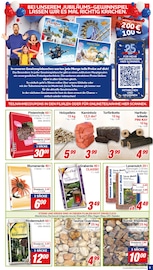 Aktueller CENTERSHOP Prospekt mit Gartenerde, "Da geht was.", Seite 5