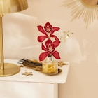 Orchidée 2 fleurons en vase avec encens en promo chez Carrefour Market Quimper à 7,49 €