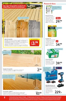 Holz Angebot im aktuellen Hellweg Prospekt auf Seite 4