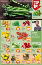 Topf Angebot im aktuellen REWE Prospekt auf Seite 7