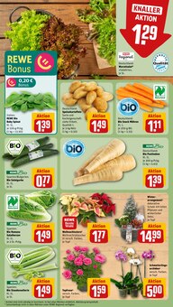 Gartenmöbel im aktuellen REWE Prospekt (Augsburg) Gartenmöbel im REWE Prospekt "Dein Markt" mit 32 Seiten (Augsburg)