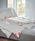 Feder- und Daunenkissen im Angebot bei Matratzen Concord in Ansbach Feder- und Daunenkissen Angebote von KÜNSEMÜLLER bei Matratzen Concord Ansbach für 29,90 €
