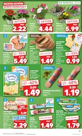Aktueller Kaufland Prospekt mit Vollkornbrot, "Aktuelle Angebote", Seite 61